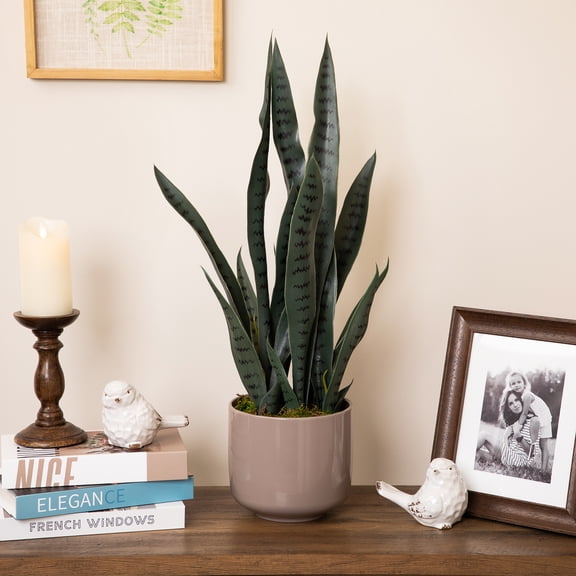 Northlight Real Touch Artificial Two Tone Potted Snake Plant - 29"
