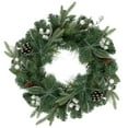 thumbnail image 1 of Northlight Real Touch™ Frosted Mixed Pine Artificial Christmas Wreath - 24" - Unlit, 1 of 5