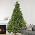 thumbnail image 1 of Northlight Real Touchâ„¢ï¸ Pre-Lit Full Minnesota Balsam Fir Artificial Christmas Tree - 12 FT -, 1 of 6