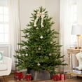 thumbnail image 1 of Northlight Real Touch™️ Pre-Lit Full Oregon Noble Fir Artificial Christmas Tree - 6.5' - Warm White, 1 of 9