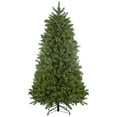 thumbnail image 1 of Northlight Real Touch™️ Pre-Lit Full Palisades Fir Artificial Christmas Tree - 7.5' - Clear Lights, 1 of 8