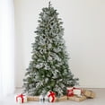 thumbnail image 1 of Northlight Real Touch™️ Pre-Lit Medium Flocked Rosemary Emerald Angel Pine Artificial Christmas Tree, 1 of 8