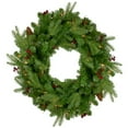 thumbnail image 1 of Northlight Real Touch™️ Pre-Lit Mixed Winter Berry Pine Artificial Christmas Wreath - 24" - Clear, 1 of 7