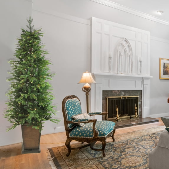Northlight Real Touch™️ Pre-Lit Potted Oregon Noble Fir Slim Artificial Christmas Tree - 6' - Warm