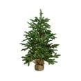 thumbnail image 1 of Northlight Real Touch™️Pre-Lit Viella Norway Spruce Artificial Potted Christmas Tree - 3' - Clear, 1 of 5