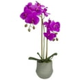 thumbnail image 1 of Northlight Real Touch™️ Purple Artificial Orchid Plant with a Gray Stone Pot - 14", 1 of 8