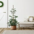 thumbnail image 1 of Northlight Real Touch™ Slim Nordmann Fir Layered Artificial Christmas Tree - 4.5' - Unlit, 1 of 7