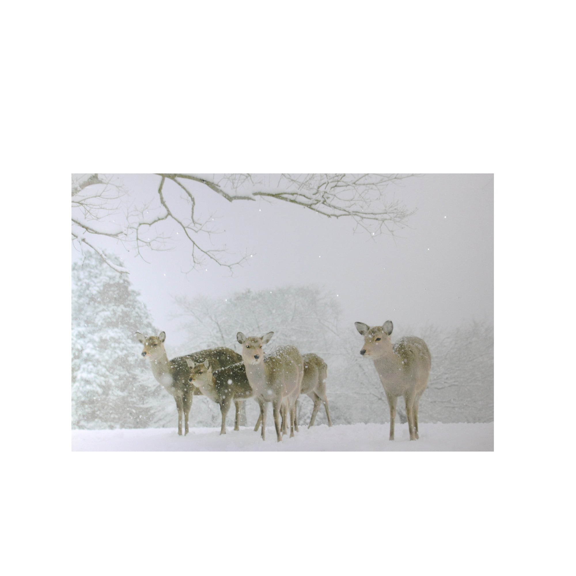 Small Fiber Optic Lighted Winter Deer Canvas Wall Art
