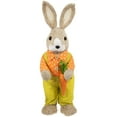 thumbnail image 1 of Northlight Standing Boy Rabbit with Carrot Easter Figure - 16" - Orange and Green, 1 of 6