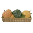 thumbnail image 1 of Northlight Faux Rattan Basket with Pumpkins Thanksgiving Decoration - 15", 1 of 5