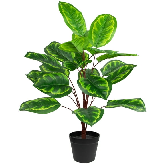Northlight Two-Tone Calathea Artificial Potted Plant - 30"