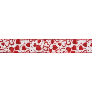 2.5 Valentine Graphics Ribbon: Hot Pink, Pink, Red (10 Yards
