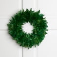 thumbnail image 1 of Northlight Wispy Feather Christmas Wreath - 14.5" - Unlit - Green, 1 of 5