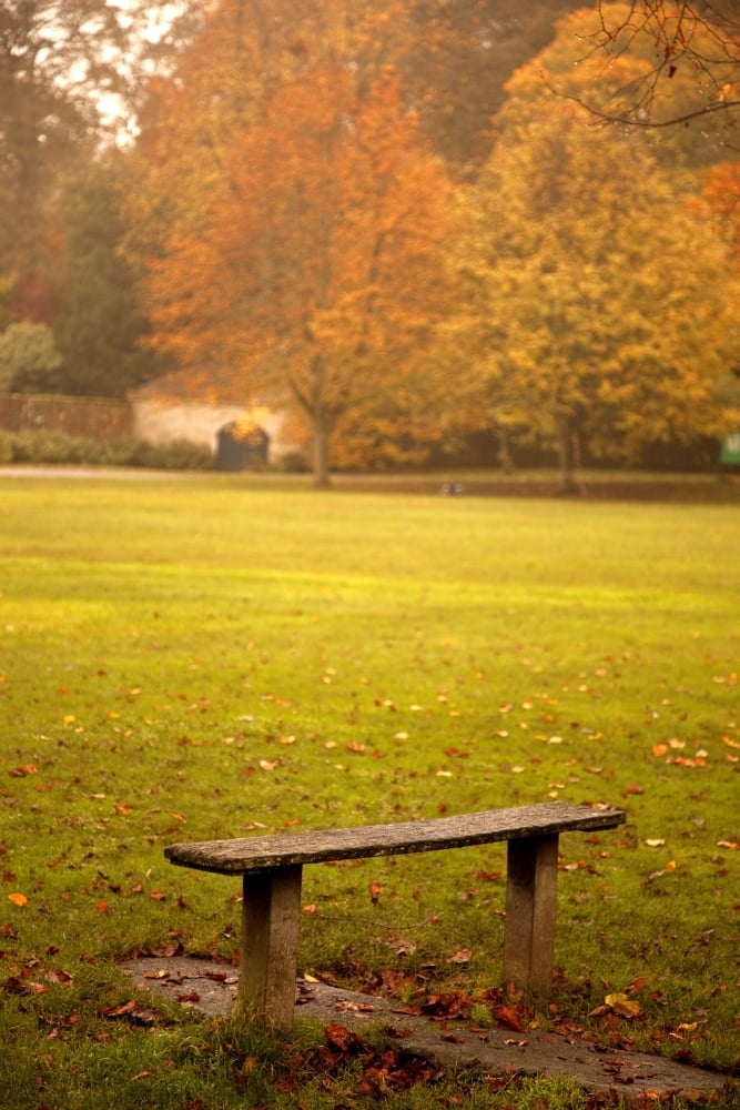 Northumberland England A Bench In A Park In Autumn Canvas Art - John Short Design Pics (24 x 38)