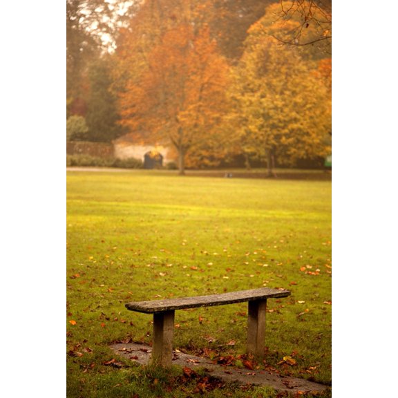 Northumberland England A Bench In A Park In Autumn Canvas Art - John Short  Design Pics (24 x 38)