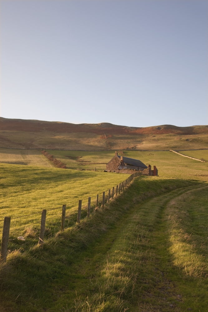 Northumberland England A Farm Structure And A Fence Around A Field Canvas Art - John Short Design Pics (24 x 38)