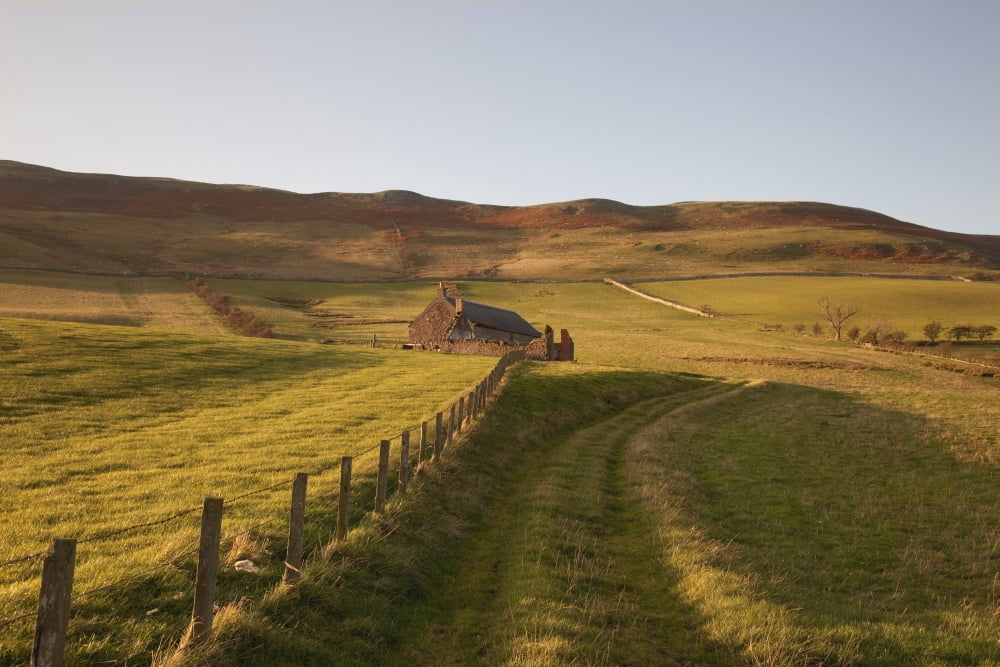 Northumberland England A Farm Structure And A Fence Around A Field Canvas Art - John Short Design Pics (38 x 24)