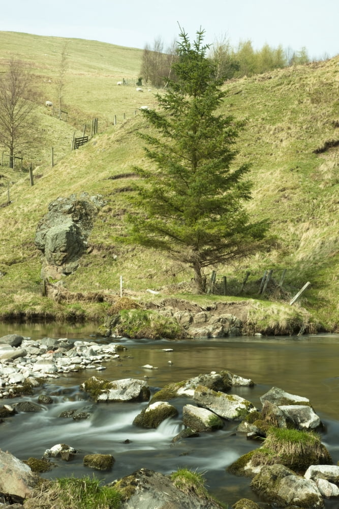 Northumberland England A River Flowing Over Rocks By A Hillside Canvas Art - John Short Design Pics (12 x 19)