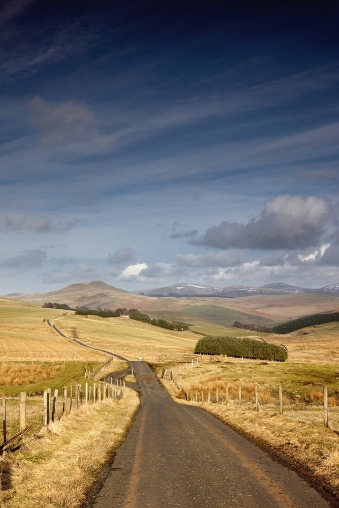 Northumberland England A Road With Fields On Both Sides Canvas Art - John Short Design Pics (24 x 38)