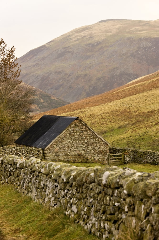 Northumberland England Stone House With Stone Fence Canvas Art - John Short Design Pics (12 x 19)