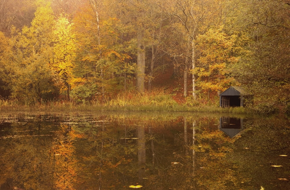 Northumberland England Trees Along The Water In Autumn With A Small Shed On The Shore Canvas Art - John Short Design Pics (38 x 24)