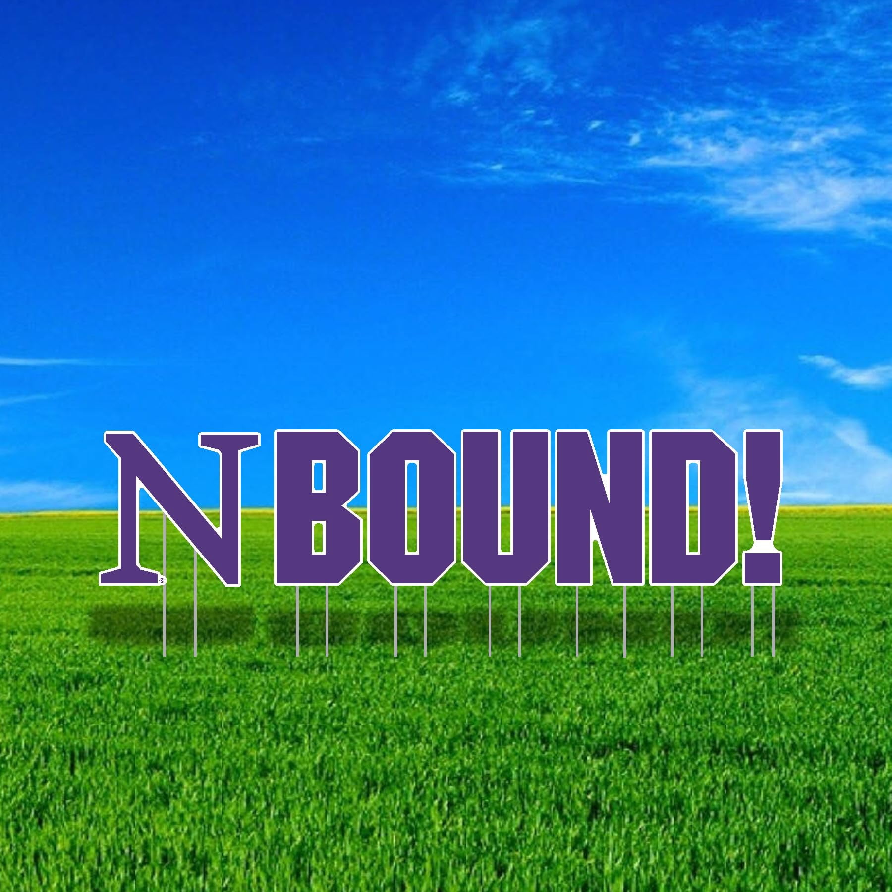 Northwestern University BOUND Mascot Yard Sign Set