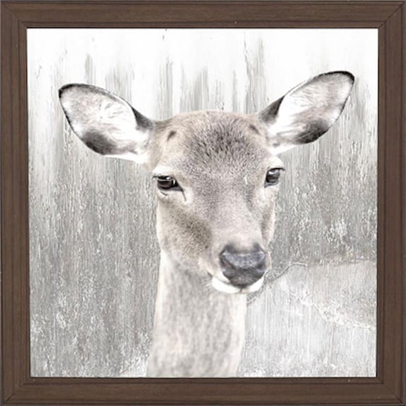 Northwood Collection NC-N3332A 13.5 x 13.5 in. Deer Framed Laminate Wall Decor