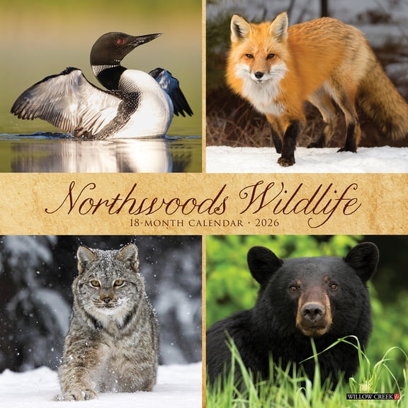 Northwoods Wildlife 2026 Wall Calendar, (Paperback)
