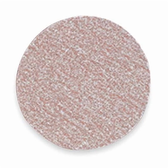 Norton Abrasives Hook-and-Loop Sand Disc,6 in Dia,PK100 66261131562