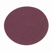 Norton Abrasives PSA Sanding Disc,5 in Dia,40 G 66261136588