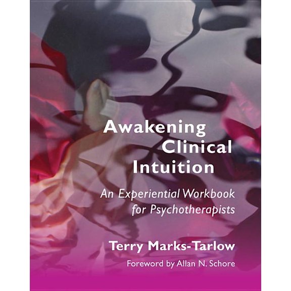 Norton Interpersonal Neurobiology Awakening Clinical Intuition: An Experiential Workbook for Psychotherapists, Book 0, (Paperback)