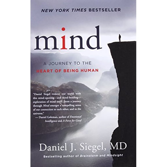 Pre-Owned Mind: A Journey to the Heart of Being Human (Norton Series on Interpersonal Neurobiology): 0 Paperback