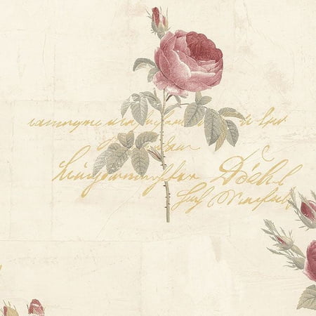 Norwall Rose Garden 2 CG28860 Script Rose Red Tan Cream Gold Wallpaper