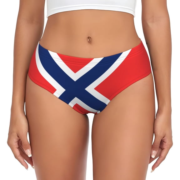 Norway Flag Bikini Panties Stretch Cool 3D printed Underwear for Women XX-Large