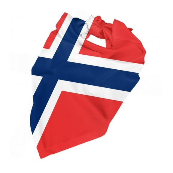 Norway Flag Dog Bandanas Triangle Dog Scarfs For Small Medium Large Dogs And Cats