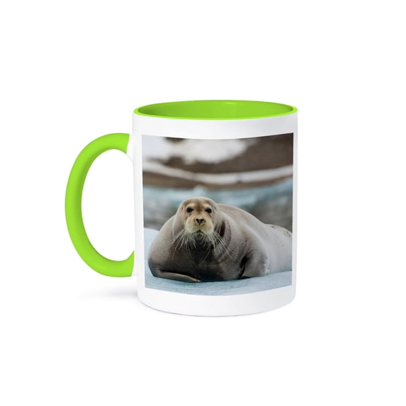 3drose, Norway. Svalbard. Krossfjord. Bearded Seal on an Ice Floe., 11oz Two-tone Green Mug