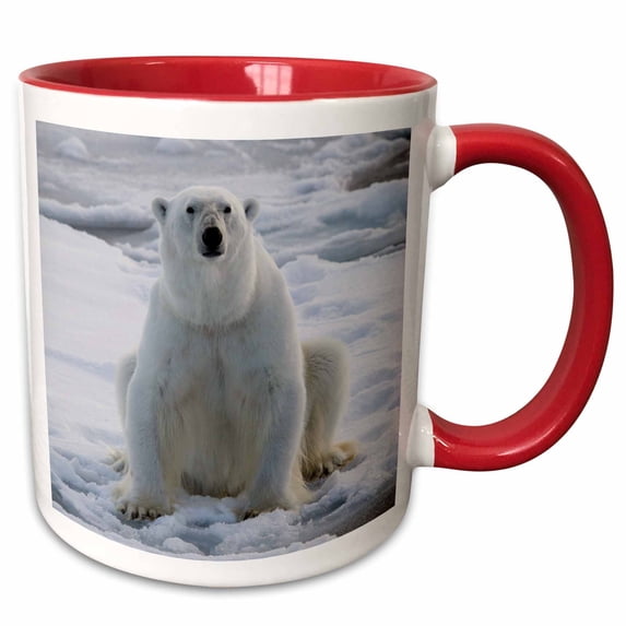 Norway, Svalbard, Spitsbergen. Polar bear rests on sea ice. 15oz Two-Tone Red Mug mug-257792-10