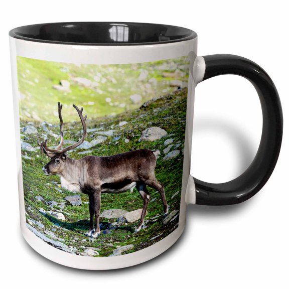 3drose, Norway, Troms. Male Reindeer Wildlife - Eu21 Fno0226 - Fredrik Norrsell, 11oz Two-tone Black Mug