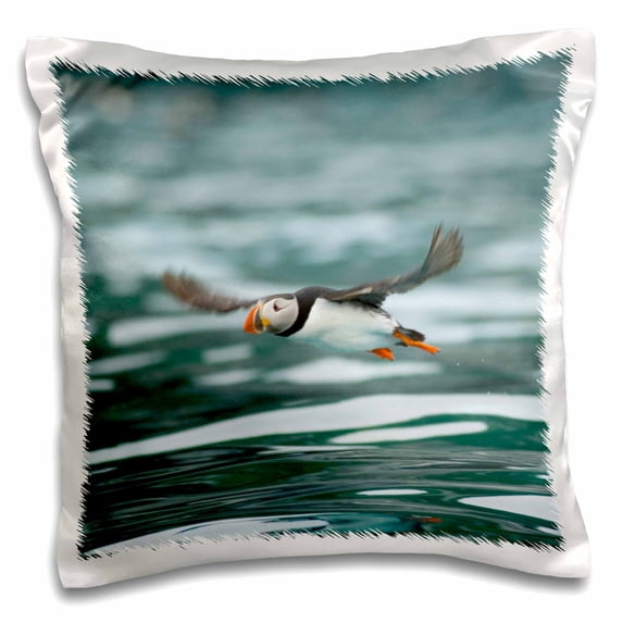 3dRose, Norway, Vesterålen. Atlantic Puffin - EU21 FNO0024 - Fredrik Norrsell, 16x16 inch Pillow Case