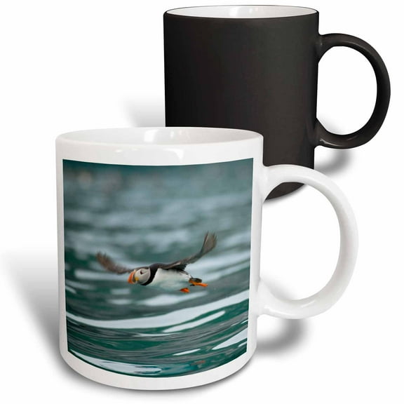 3drose, Norway, Vesterålen. Atlantic Puffin - Eu21 Fno0024 - Fredrik Norrsell, 11oz Magic Transforming Mug