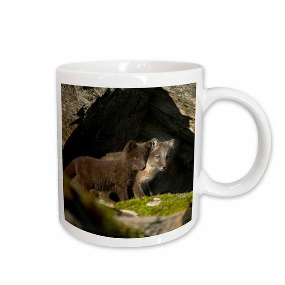 Norway, western Spitsbergen. Arctic fox and kits outside their den. 15oz Mug mug-205574-2