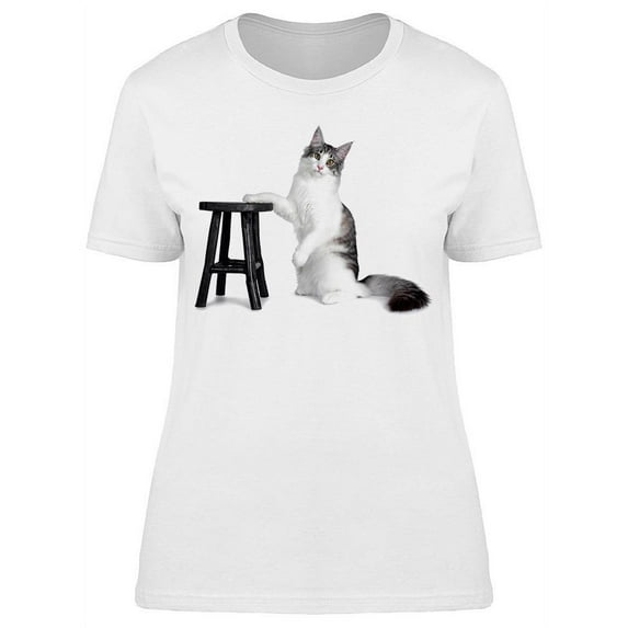 Norwegian Kitty Wooden Stool T-Shirt Women -Image by Shutterstock, Female 3X-Large