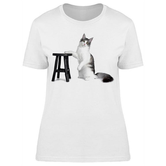 Norwegian Kitty Wooden Stool T-Shirt Women -Image by Shutterstock, Female Large