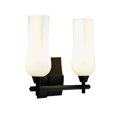 thumbnail image 1 of Norwell Lighting - Fleur - 2 Light Wall Sconce-13.88 Inches Tall and 14.75, 1 of 1