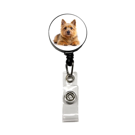 Norwich Terrier Dog Photo Retractable Reel ID Badge Key Card Name Tag Holder with Clip