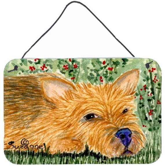 Norwich Terrier Indoor Aluminium Metal Wall Or Door Hanging Prints