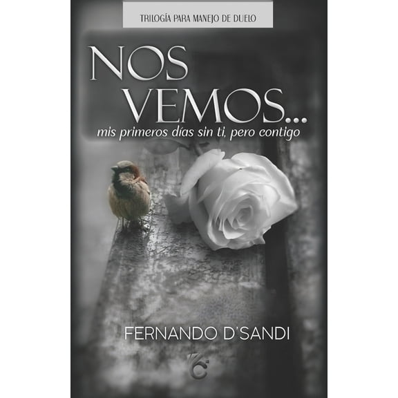 Nos Vemos: Mis primeros das sin ti, pero contigo..., (Paperback)