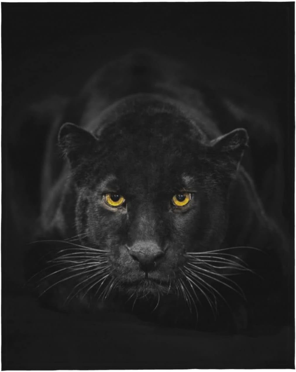 Nosbei White Tiger Blanket Tiger Face Animal Print on Black Throw