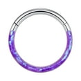 thumbnail image 1 of Nose Jewelry 16G Opal Septum Rings Hoop Ring Lip Rings Stainless Steel Hinged Segment Ring Seamless Ring Cartilage Earrings Hoop Tragus Septum Piercing Jewerly Gifts Valentine's Day Gifts, 1 of 3