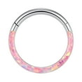 thumbnail image 1 of Nose Jewelry 16G Opal Septum Rings Hoop Ring Lip Rings Stainless Steel Hinged Segment Ring Seamless Ring Cartilage Earrings Hoop Tragus Septum Piercing Jewerly Gifts Valentine's Day Gifts, 1 of 3